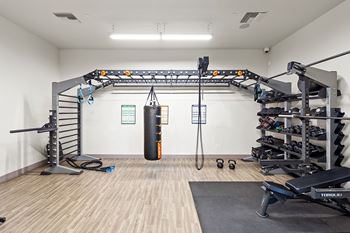 Trx/crossfit training room